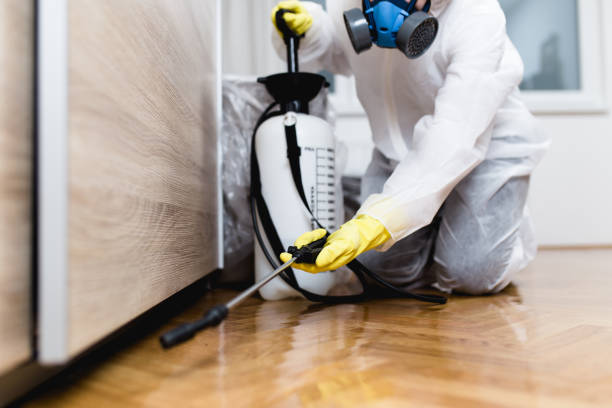 Best Cockroach Control Services  in Parksdale, CA