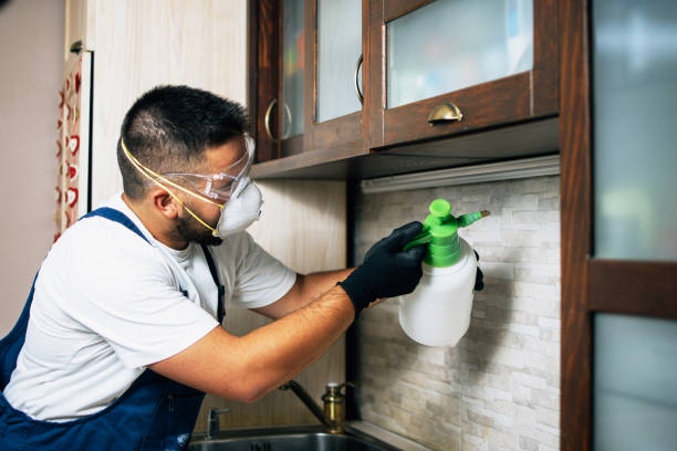 Professional Pest Control in Parksdale, CA