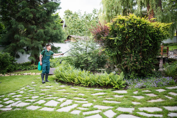 Best Best Pest Control Companies  in Parksdale, CA