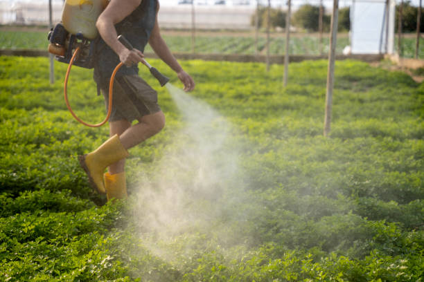 Best Emergency Pest Control  in Parksdale, CA