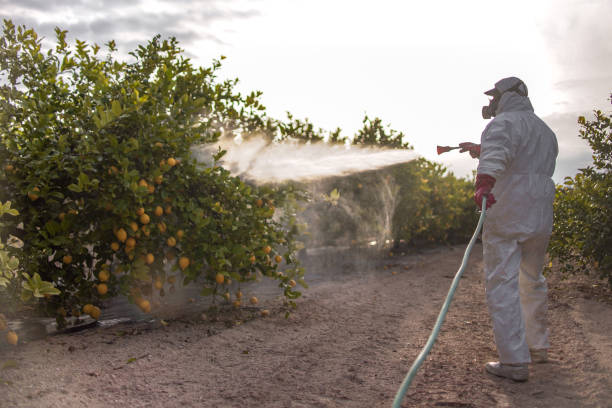 Pest Control Cost in Parksdale, CA