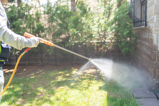 Best Best Pest Control Companies  in Parksdale, CA