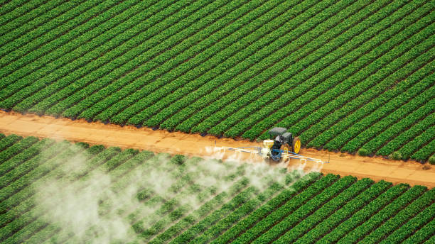 Best Mosquito Control Services  in Parksdale, CA