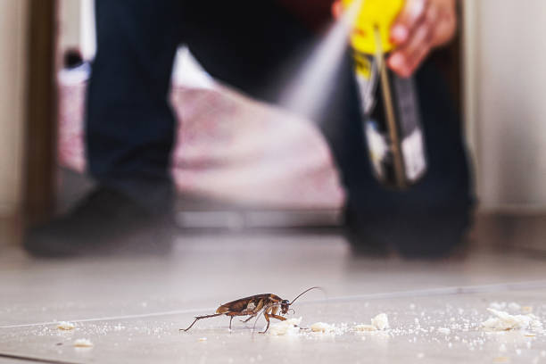  Parksdale, CA Pest Control Pros
