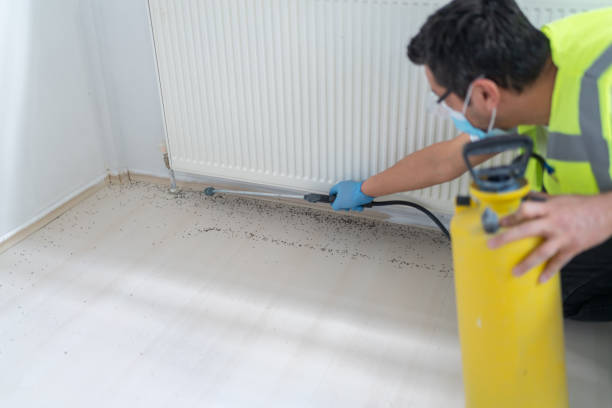Best Local Pest Control Services  in Parksdale, CA